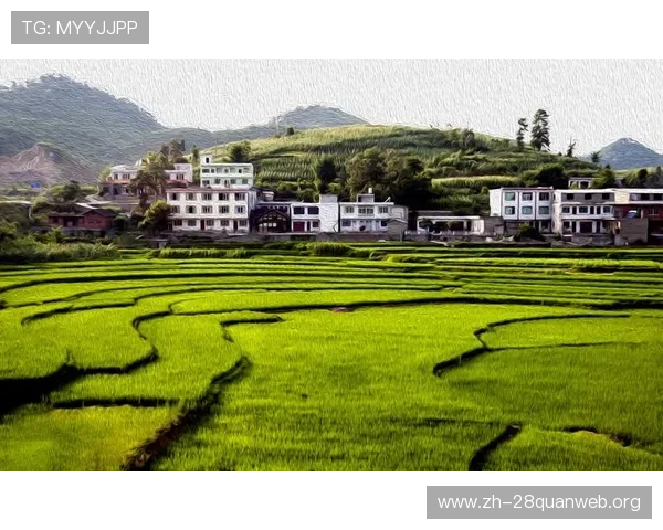 南宫中国：南宫地区的环境保护与可持续发展措施，关注生态与经济的和谐共存