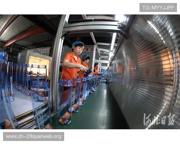 南宫旗下品牌的多元化产品线满足不同年龄层玩家的多样需求