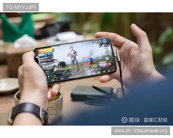 南宫NG备用平台全面解析助你稳定游戏体验与账号安全